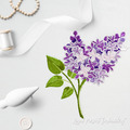 Spring Lilac Branch - 2 sizes