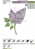 Spring Lilac Branch - 2 sizes
