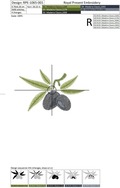 Machine Embroidery Design Olives
