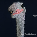Machine Embroidery Design Ostrich - 2 sizes