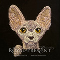 Pocket Cat Sphynx