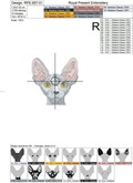 Pocket Cat Sphynx