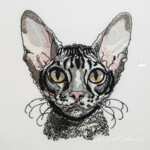 Pocket Cornish Rex Cat Portrait - 4 sizes