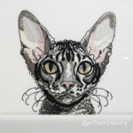 Pocket Cornish Rex Cat Portrait - 4 sizes