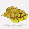 Yellow Snake Head
