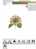 Summer Sunflower - 2 sizes