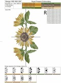 Three sunflowers - 5 sizes