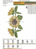 Three sunflowers - 5 sizes