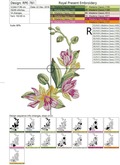 Tropical orchids corner