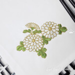 White chrysanthemums - 5 sizes