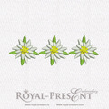 Machine Embroidery Designs Edelweiss