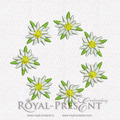 Machine Embroidery Designs Edelweiss