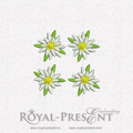 Machine Embroidery Designs Edelweiss