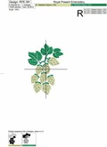 Hops and barley Machine Embroidery Designs