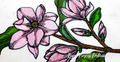 Magnolias Machine Embroidery Designs - 7 sizes