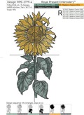 Mega Sunflower - 7 sizes