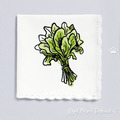 Mini Zucchini, Asparagus, Celery, Sorrel Machine Embroidery Designs - 5 sizes