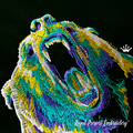 Multi-colored Bear Machine Embroidery Design - 5 sizes