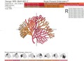 Multicolored corals set of machine embroidery designs - 4 sizes