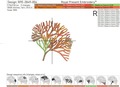 Multicolored corals set of machine embroidery designs - 4 sizes