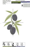 Olives Machine Embroidery Design - 3 sizes