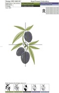 Olives Machine Embroidery Design - 3 sizes
