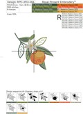 Oranges Machine Embroidery Designs - 3 sizes