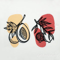 Papaya and Pomegranates Machine Embroidery Designs - 4 sizes