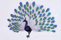 Peacock for Mega hoop - 2 sizes