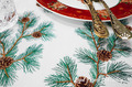 Pine branches with cones Machine embroidery designs