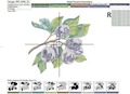 Plum branches Machine Embroidery designs