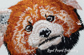 Pocket Red Panda Machine Embroidery Design