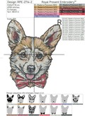 Portrait puppy Corgi - 5 sizes