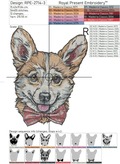 Portrait puppy Corgi - 5 sizes