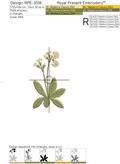 Primrose Flowers Set - 3 sizes