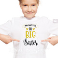 Promoted to big sister Inscriptions for machine embroidery - 2 sizes