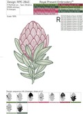 Protea Machine Embroidery Designs - 4 sizes
