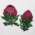 Protea Machine Embroidery Designs - 4 sizes