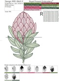 Protea Machine Embroidery Designs - 4 sizes