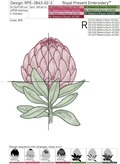 Protea Machine Embroidery Designs - 4 sizes