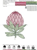 Protea Machine Embroidery Designs - 4 sizes