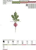 Realistic Radish Machine Embroidery Designs Set - 3 sizes