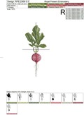 Realistic Radish Machine Embroidery Designs Set - 3 sizes
