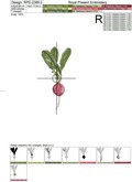 Realistic Radish Machine Embroidery Designs Set - 3 sizes