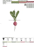 Realistic Radish Machine Embroidery Designs Set - 3 sizes