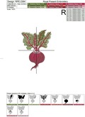 Realistic Red Beet Machine Embroidery Design - 3 sizes