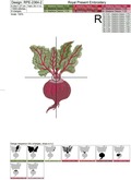 Realistic Red Beet Machine Embroidery Design - 3 sizes