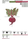 Realistic Red Beet Machine Embroidery Design - 3 sizes