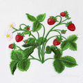 Realistic strawberry bush Machine embroidery design - 4 sizes