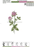 Red Clover Machine Embroidery Design - 2 sizes
